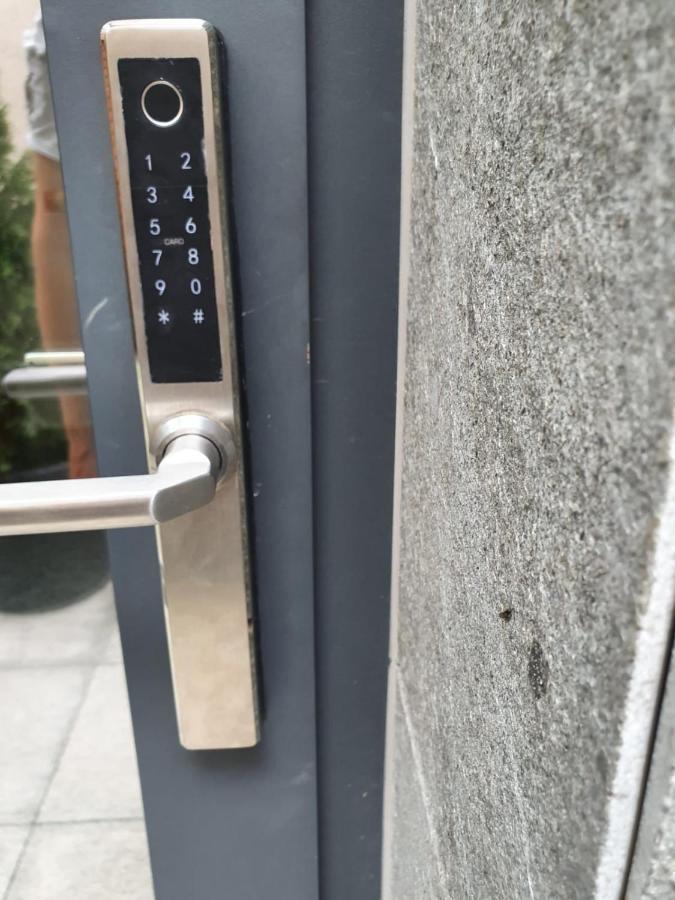 City Rooms Sighetu Marmaţiei Exteriör bild